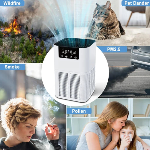HEPA Air Purifier Smoke Odor