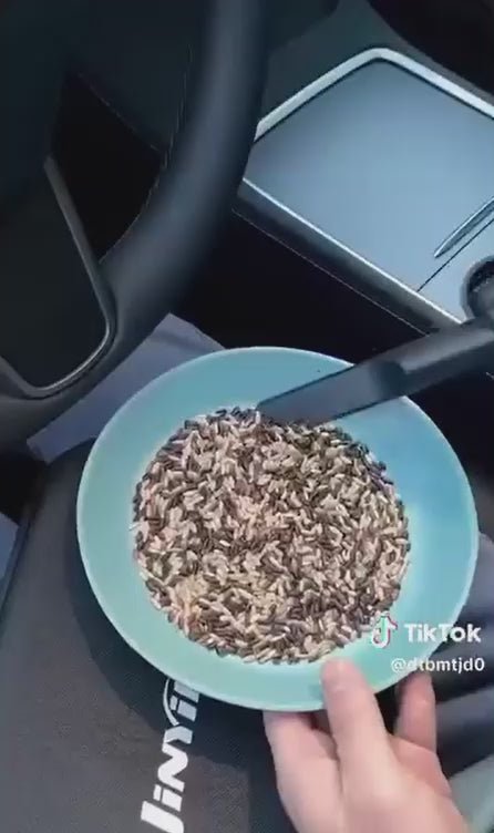 Ultra Black CENRR Car Vacuum